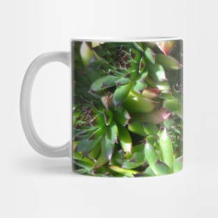 Succulent splendour  green bloom Mug